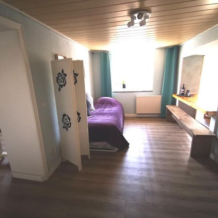 Mooi Ruim Appartement In Antieke Stadsboerderij Schönecken Exteriör bild
