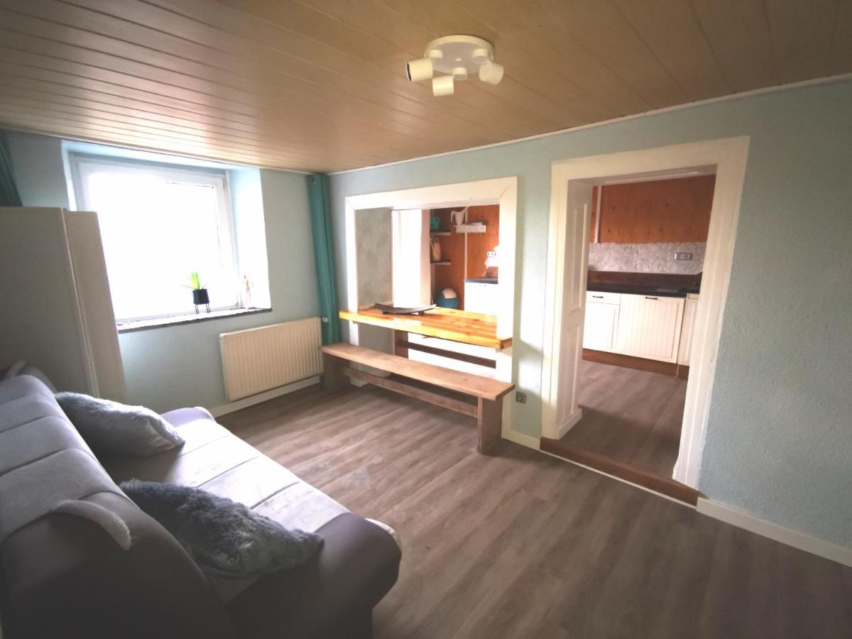 Mooi Ruim Appartement In Antieke Stadsboerderij Schönecken Exteriör bild