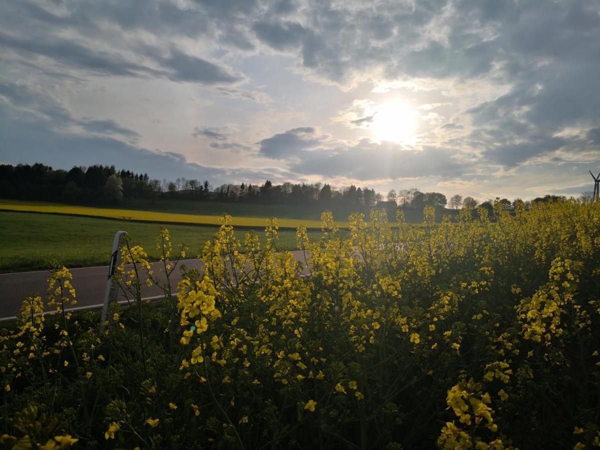 Mooi Ruim Appartement In Antieke Stadsboerderij Schönecken Exteriör bild