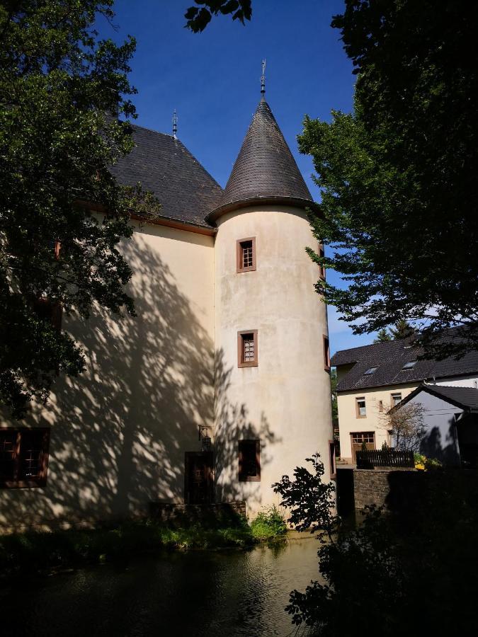 Mooi Ruim Appartement In Antieke Stadsboerderij Schönecken Exteriör bild