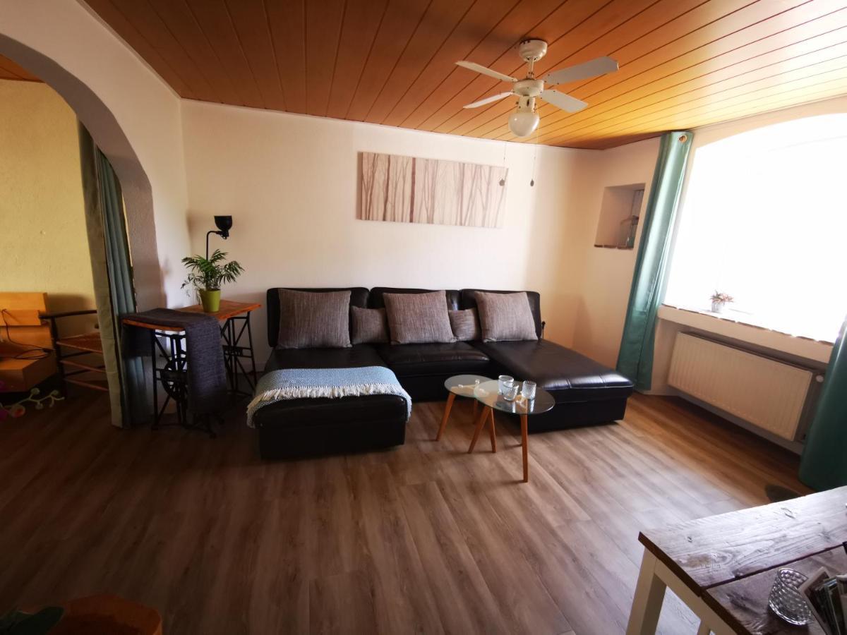 Mooi Ruim Appartement In Antieke Stadsboerderij Schönecken Exteriör bild